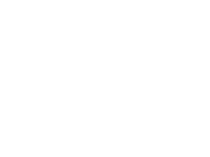 Logo_Netgear_Blanc