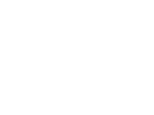 Logo_Palatine_Blanc