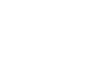 Logo_Reseaulution_Blanc