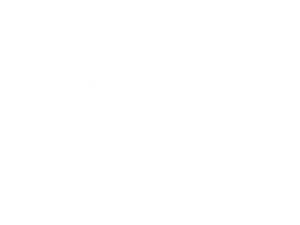 Logo_VictorInvest_Blanc